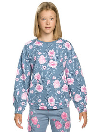 Pelican _    GFN4135/1