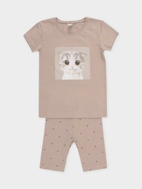 Crockid     1647-1/.