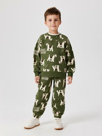 Acoola     Polaris_pt 20120460126 