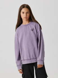 Acoola ������� ������� ��� ������� Mirza 20210170167 ����������