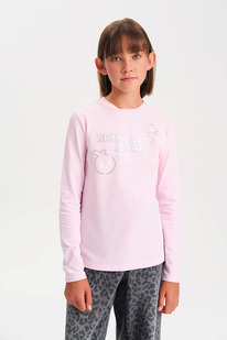 Pelican ������� ��� ������� GFJ3377 �������