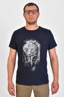 �������� � 085