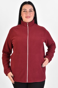 ��������� � 491