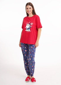 Clever   CLE LP15-1202/3 /.