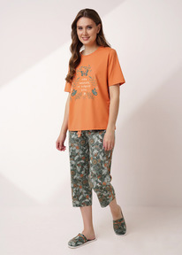 Clever   CLE LP15-1184/1 ./