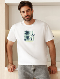 �����  Vilatte ��������� ��������  � ��������� ������� U49.048 �����_just