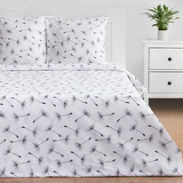 ���������� ����� �� ���� �������� �����