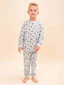 13.01 Pelican ������ ��� ��������� NFAJP3351/1 �����