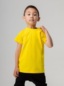 13.01 Bodo �������� 113-��6�� 113-��6�� ������