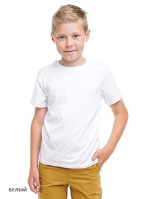 13.01 Clever �������� ���. CLE 903161�� 68-84 �����