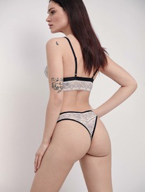 CONTE ELEGANT ����� ������� CONTE ��������� ����� ����������� � V-�������� ����