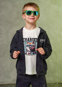 Clever ��������� ������� ��� �������� CLE 867304/10��_� �.�����/������