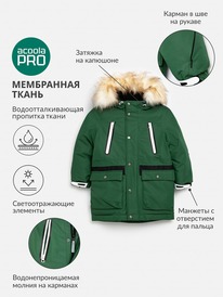 ����� �� 30.01 Acoola ������ ������� ��� ��������� Corrino 20120770009 �������