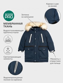 ����� �� 30.01 Acoola ������ ������� ��� ��������� Corrino 20120770009 �����-���