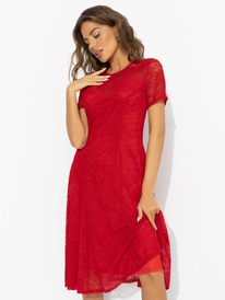 ������ CHARUTTI 12500 �������