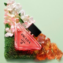 Prada Paradoxe Intense ������ 35% �� 28.02.