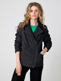 ������ DizzyWay 24118 ������