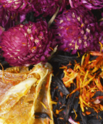 ��� ������ 