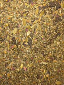 �����! ��� 