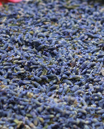 ������� 100 �