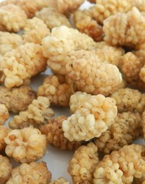 �������� ����� (���������) 100 ��