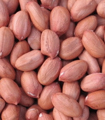 ������ 200 ��