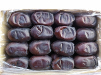 ������ �������� ���� 420-520 ��