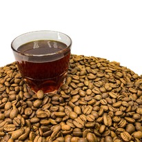 ���� �������  ����