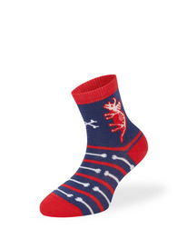 ����� ����� OMSA kids   Calzino 23�65 (���������)