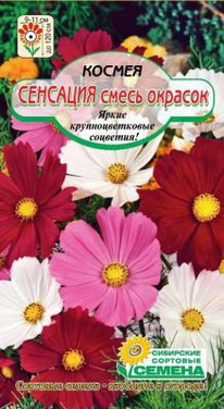 ������ ��������