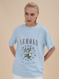 27.03  Pelican �������� ������� DFT6933/3U �������