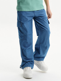 Pelican ����� ��� ��������� BGP3373 �����