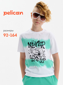 Pelican �������� ��� ��������� BFT3389 �����