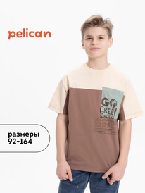 Pelican �������� ��� ��������� BFT3370/4 ��������