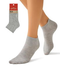 ����� ����� OMSA ECO 253