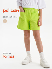 24.03 Pelican ����� ��� ������� GFH3369U ���������