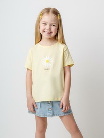 12.04  Crockid ������� (��������) ��� ��� �� 302078/��������� ����