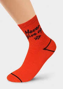 24.03 Clever ����� ������� CLE �4284 24 �������