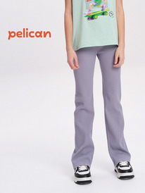 12.04  Pelican ����� ��� ������� GFL3352 �����