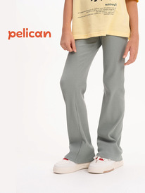 12.04  Pelican ����� ��� ������� GFL3352 ������-�������