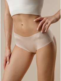 09.04  Indefini ������� ����� 3306LUS