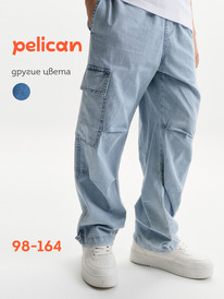 12.04  Pelican ����� ��� ��������� BGP3373 �������
