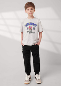 08.04 Clever ����� ������� ��� �������� CLE 757160/23�_� ������