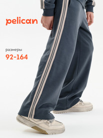 12.04  Pelican ����� ��� ��������� BFPQ3389/1U �����