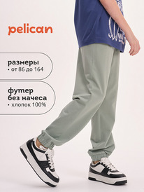 12.04  Pelican ����� ��� ��������� BFPQ3321U ������-�������