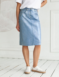 09.04  Vilatte ���� � ����������������� ��������� D56.120 �������-����������