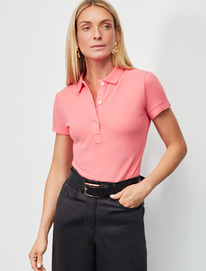 21.04 Vilatte ��������-����  �� ������������ ������ D49.087 ������