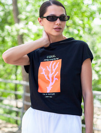 21.04 Vilatte �������� �� ���������� ������������ ������� � ������� ������� D49.