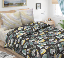 ������� ���������� ����� �� ���� ������� - �����