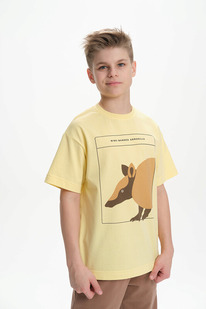 22.04 Pelican �������� ��� ��������� BFT3370/2 ������